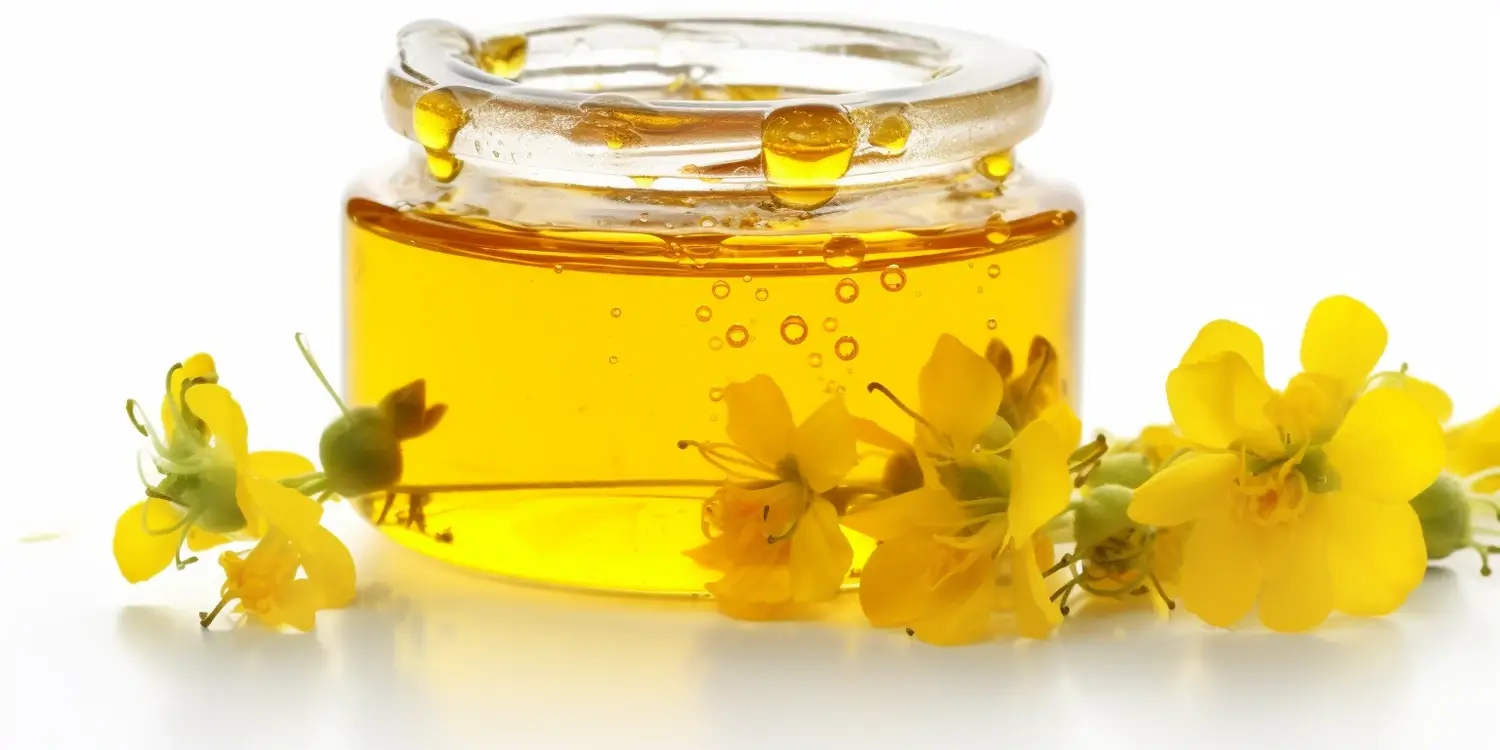 Miód wrzosowy na co jest dobry?