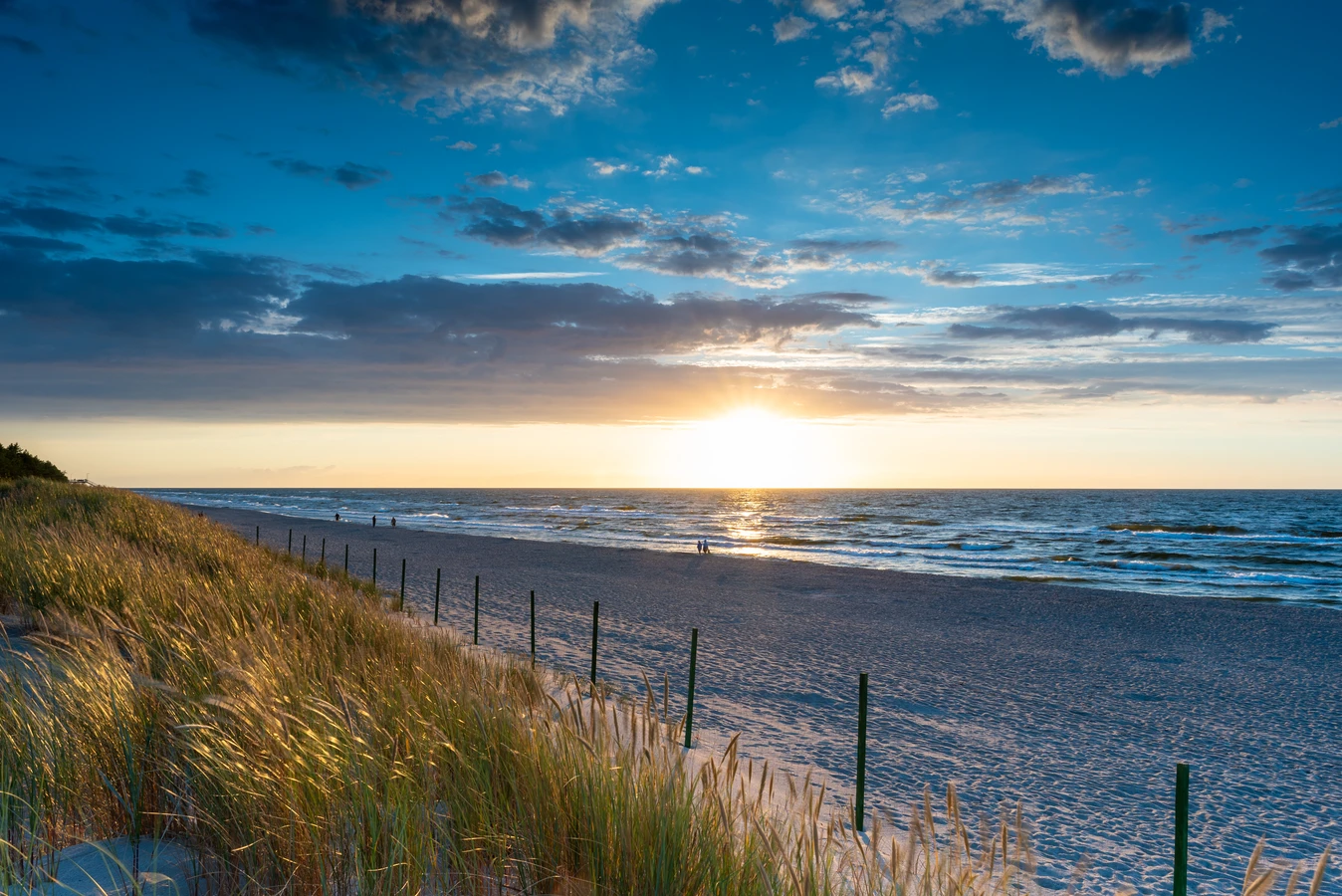 Trawa z rolki kiedy nawozić?